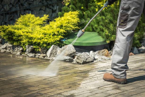 Best Playground Equipment Cleaning  in South Fallsburg, NY